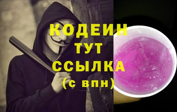 мдпв Богородск