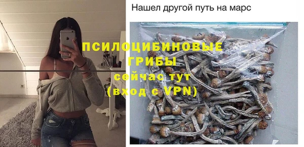 бутират Богородицк