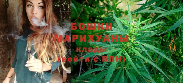 мдпв Богородск
