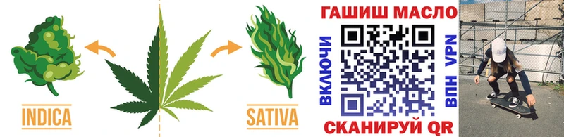 ссылка на мегу как войти  Гороховец  ТГК концентрат  магазин продажи  